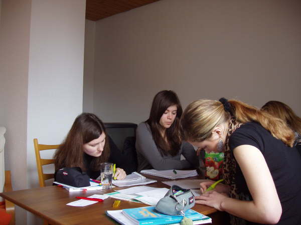 Mathe-Hasen